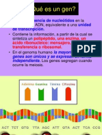 Operon Lactosa