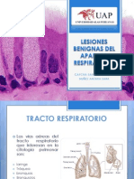 Lesiones Benignas Del Aparato Respiratorio