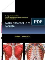 Clase 04 Pared Toráxica y Region Mamaria