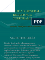 Sensibilidad+General Receptores+Corporales