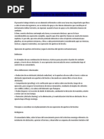 Técnicas y Tácticas para La Apertura de Brechas