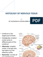 Lecture On The Histology of Cerebrum and Meninges by Dr. Roomi