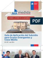 Guia de Aplicaciión Subsidio DS1