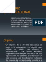 Directriz Organizacional