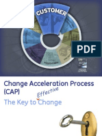 6 The Change Acceleration Process