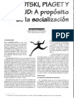 Socialización