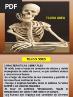 Tejido Oseo - Osteologia