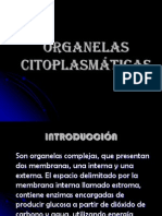 Organelas Citoplasmáticas