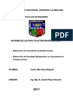 Informe de Practica Pre Profesionales Do