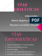 Vías Espermáticas... Diapositivas PDF