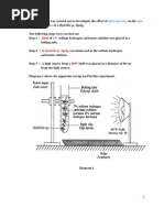 Bio P3 2007