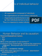 Foundations of Individual Behavior