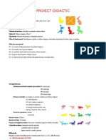 0 Proiect Didactic Ab Practice