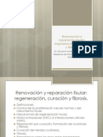 Renovación y Reparación Tisular. Regeneración, Curación y Fibrosis.