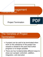 Project Termination