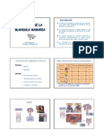 17 - Anatomia y Desarrollo de La Glandula Mamaria