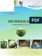 CENTA. Guía Técnica Del Cultivo de Sorgo