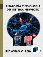 Principios Elementales del Sistema Nervioso