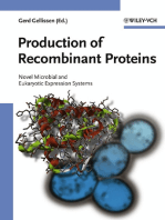 Production of Recombinant Proteins: Novel Microbial and Eukaryotic Expression Systems