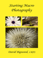 Starting Macro Photography