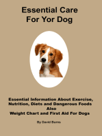 Essential Care For Your Dog