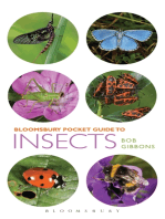 Pocket Guide to Insects