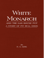 White Monarch and the Gas-House Pup - A Story of Pit Bull Dogs