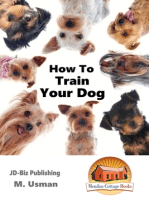 How To Train Your Dog