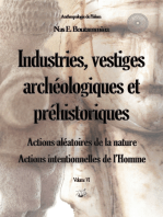 Industries, vestiges archéologiques et préhistoriques - Action aléatoire de la nature & Action intentionnelle de l’Homme - Volume VI