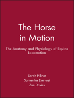 The Horse in Motion: The Anatomy and Physiology of Equine Locomotion