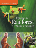 Animals of the Rainforest | Wildlife of the Jungle | Encyclopedias for Children