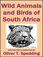 Wild Animals and Birds of South Africa