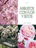 Arbustos con flor y setos