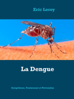 La Dengue: Symptômes, traitement, prévention, où en est-on ?