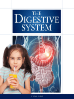 The Digestive System