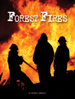 Forest Fires