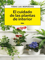 El cuidado de las plantas de interior