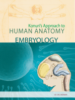 Konuri's Approach to Human Embryology