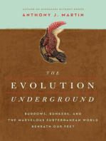 The Evolution Underground