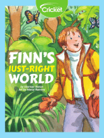 Finn's Just-Right World