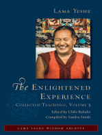 The Enlightened Experience: Collected Teachings, Volume 3