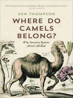 Where Do Camels Belong?: Why Invasive Species Aren't All Bad