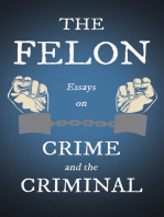 The Felon - Essays on Crime and the Criminal