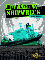 Anatomy of a Shipwreck