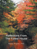 Reflections from the Forest House