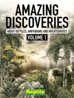 Amazing discoveries - about reptiles, amphibians and invertebrates - Volume 1