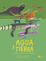 Agua y tierra, anfibios y reptiles de América