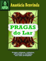 Pragas do Lar: Cuidados, prevenção e combate!