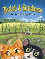 Butch & Sundance: The Scallywag Cats