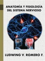 Anatomia y Fisiología del Sistema Nervioso